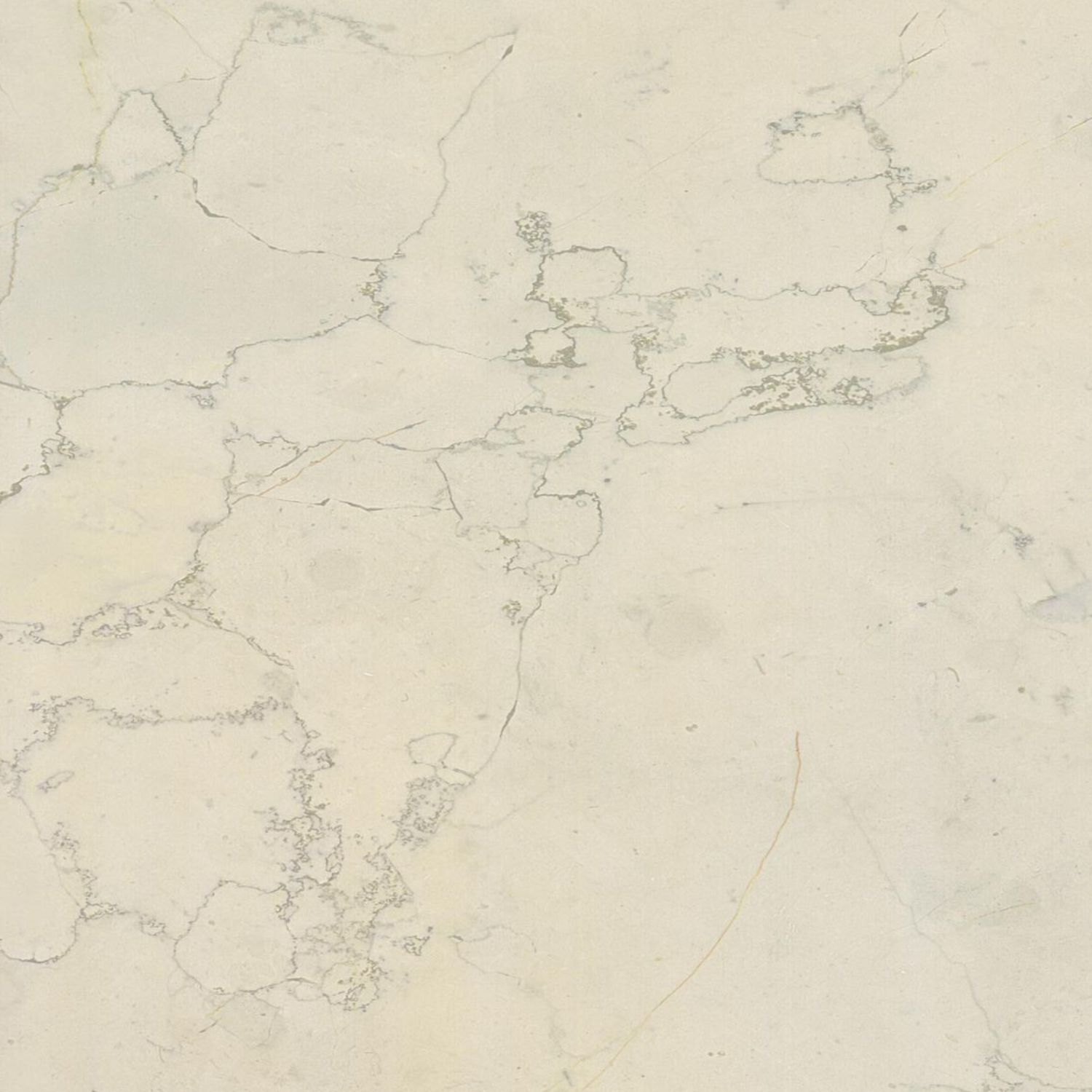 Bianco Perlino