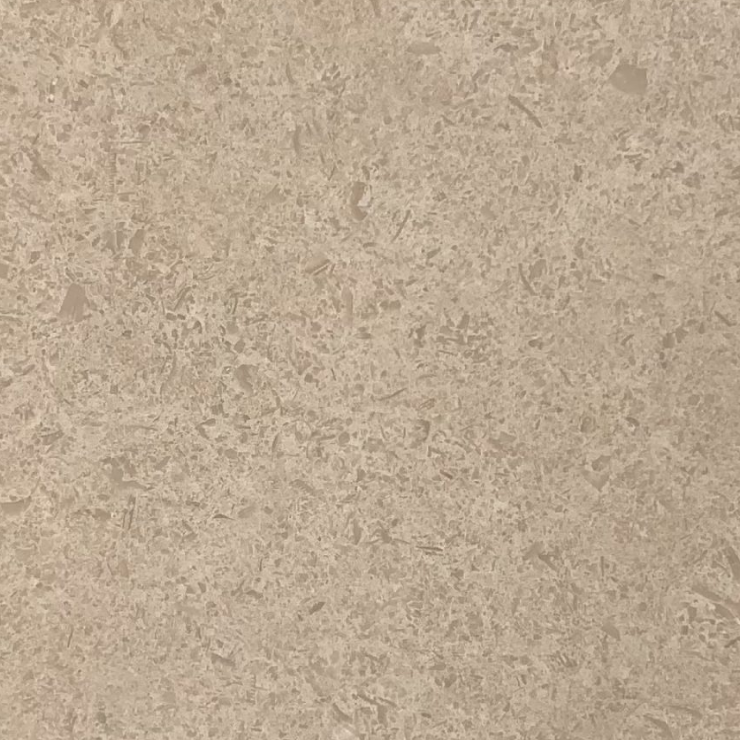 Limestone Testa