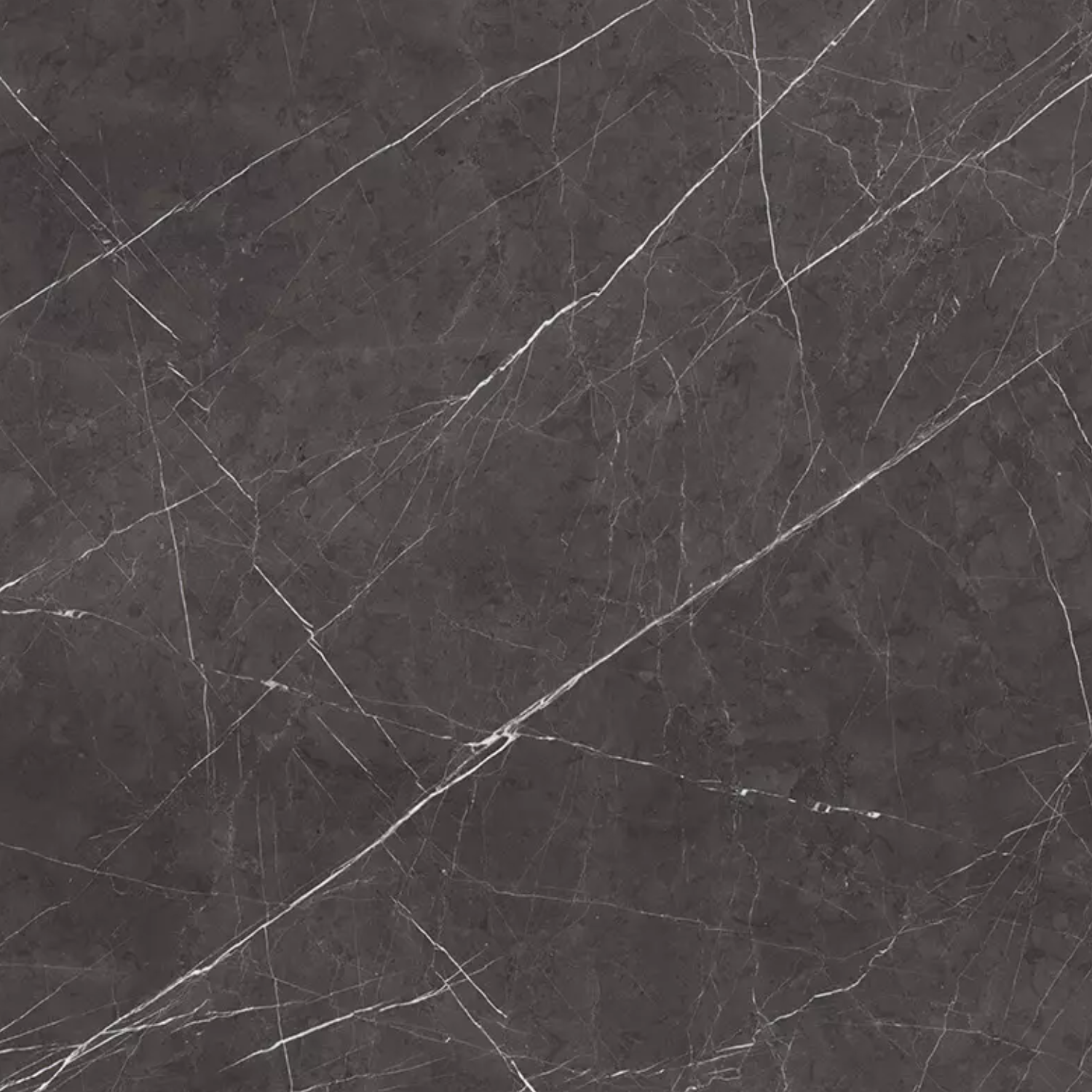 Pietra Grey